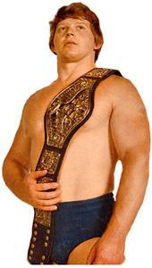 WWE Championship History (1963 - 2011)