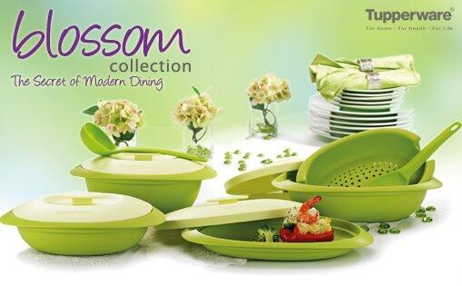 BLOSSOM COLLECTION MURAH BANGET GAN CUMA RP. 500.000 !!