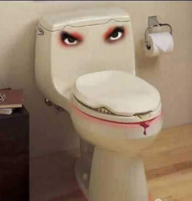 Bahkan Toilet pun jadi bahan Kreatif nya manusia !