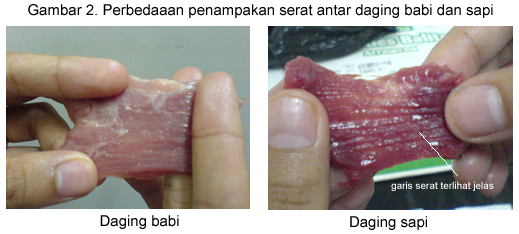 TIPS MEMBEDAKAN DAGING BABI DAN DAGING SAPI