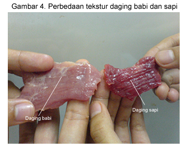 TIPS MEMBEDAKAN DAGING BABI DAN DAGING SAPI