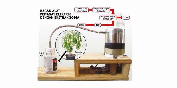 Obat Nyamuk Aman dari Ekstrak Zodia