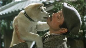 <> KISAH HACHIKO SI ANJING SETIA DARI JEPANG <> MASUK GAN ! :')