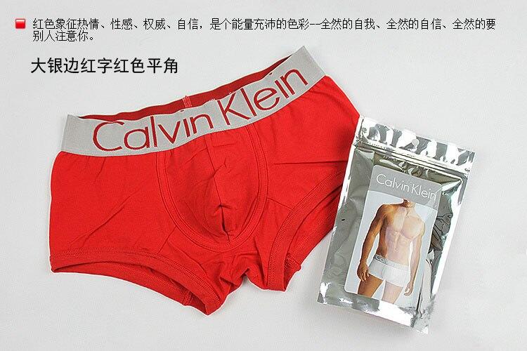 new boxer calvin klein , ck