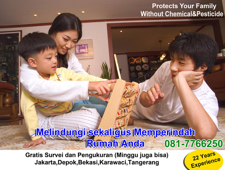 Spesialis Kassa/Kawat Nyamuk Karet,Fiber,Magnet,Aluminum Gratis Survei