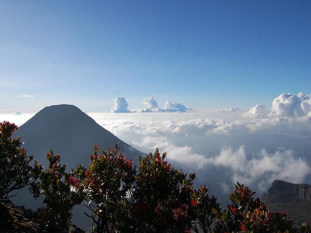 Taman Nasional Gunung Gede Pangrango (Puncak Gunung Gede)