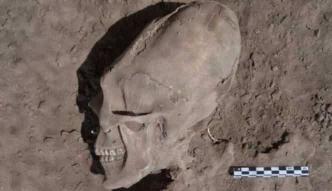 Arkeolog Ungkap Misteri Tengkorak Mirip Alien di Meksiko