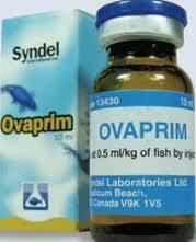 Ovaprim Syndel Canada 10 ml