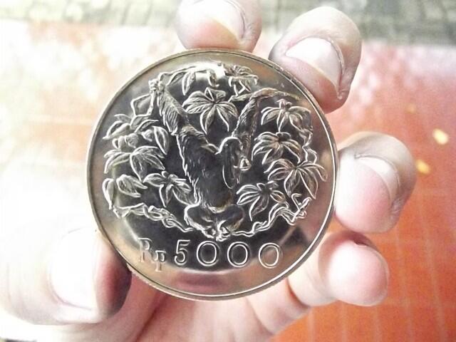 KOIN MACAN DAN ORANG UTAN.