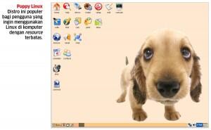 10 Distro Linux Yang Paling Populer