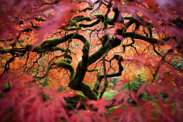Nat Geo Traveler photo contest 2012