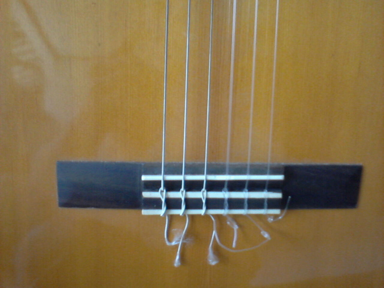 jual gitar akustik yamaha c40