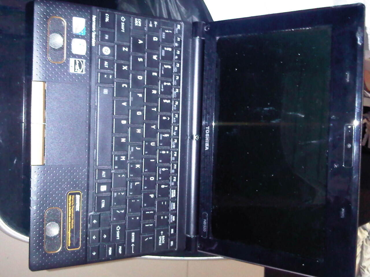 Netbook Toshiba NB 520