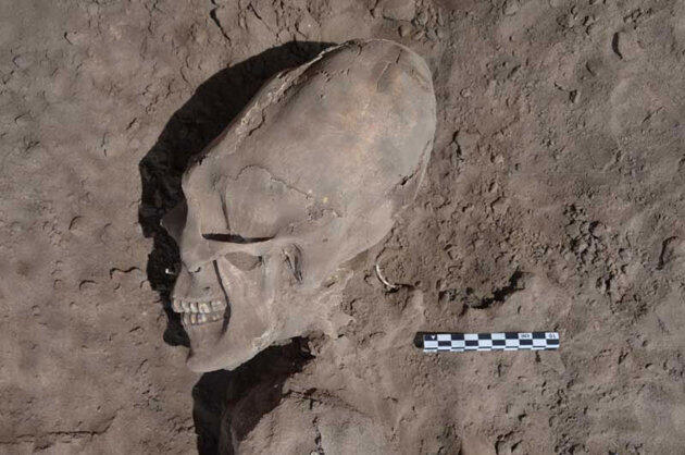 Kepala Mirip Alien Ditemukan di Makam Kuno Meksiko