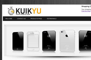 jasa pembuatan website, toko online, database online, php mysql coding manual dll