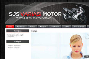 jasa pembuatan website, toko online, database online, php mysql coding manual dll