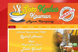 jasa pembuatan website, toko online, database online, php mysql coding manual dll