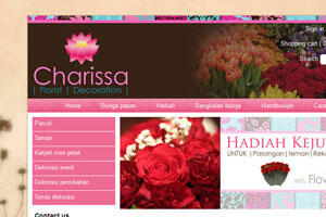 jasa pembuatan website, toko online, database online, php mysql coding manual dll