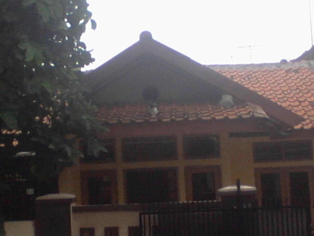 ada yang aneh ga sma rumah ini ?