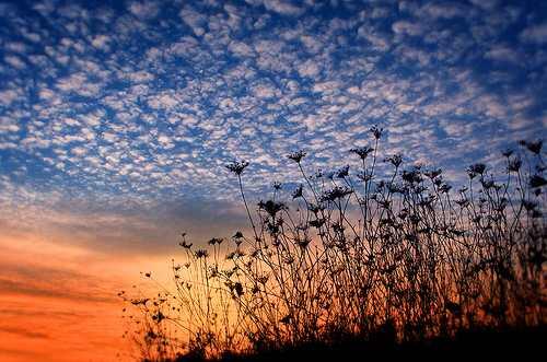 10 tips memotret sunset dan sunrise &#91;fotographer masuk,semuanya masuk aja gan&#93;