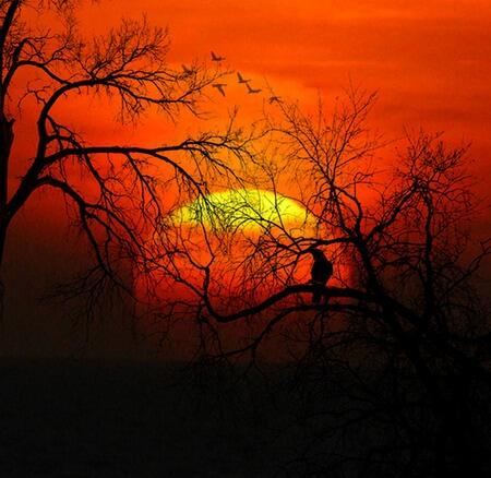 10 tips memotret sunset dan sunrise &#91;fotographer masuk,semuanya masuk aja gan&#93;