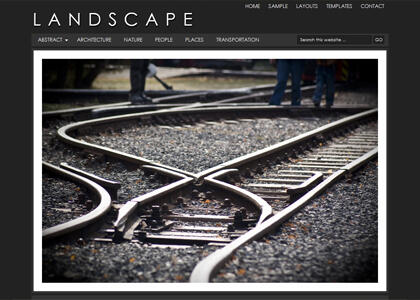 Jasa Premuim Wordpress Themes dari woothemes dan Studiopress