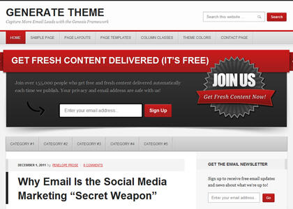 Jasa Premuim Wordpress Themes dari woothemes dan Studiopress