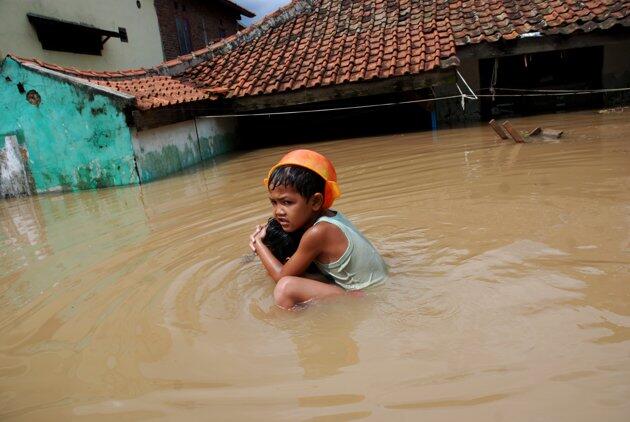 Bencana Banjir