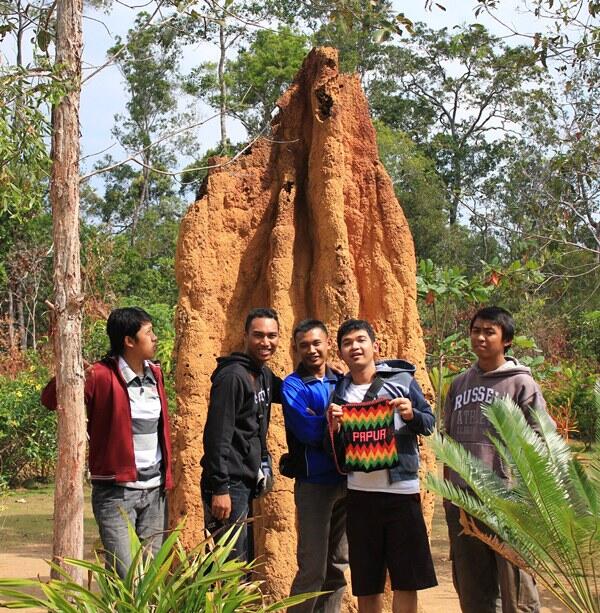 MENGENAL RUMAH SEMUT &quot;MUSAMUS&quot; MERAUKE