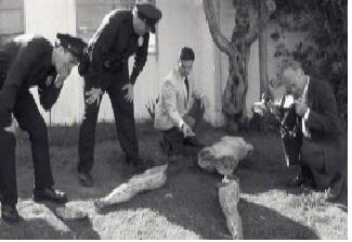 10 Kasus Pembunuhan Paling Misteri di Dunia