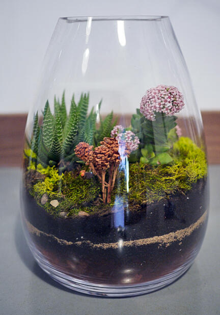 (Share) Terrarium