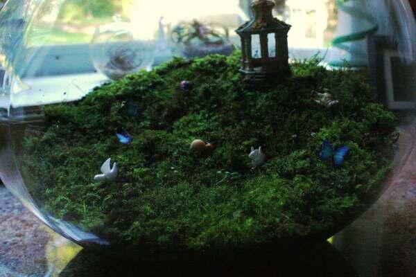 (Share) Terrarium