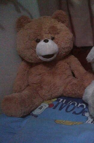 JUAL BONEKA TED KUALITAS HIGH +- 60cm