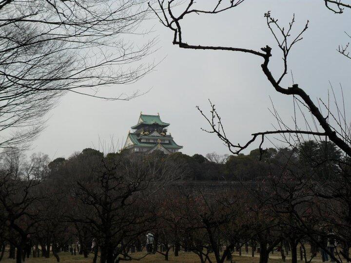 Liburan di Istana Osaka (大阪城)Ōsakajō