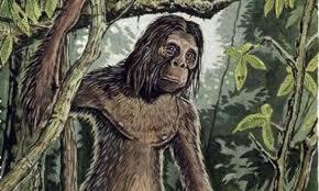 Misteri "Orang Pendek" di Area Wisata Danau Gunung Tujuh