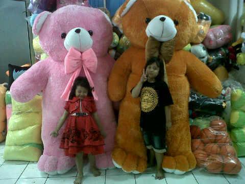 Aneka Boneka Bear
