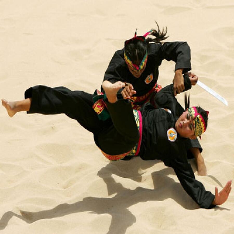 Beladiri pencak silat sebagai produk bangsa