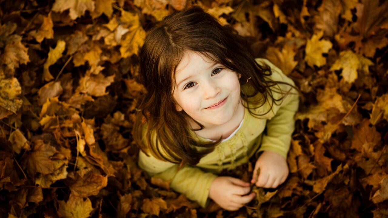 Free HD Wallpaper For Windows 7