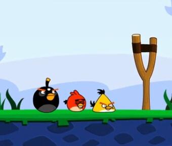 wujud keganasan &quot;Angry bird&quot; 