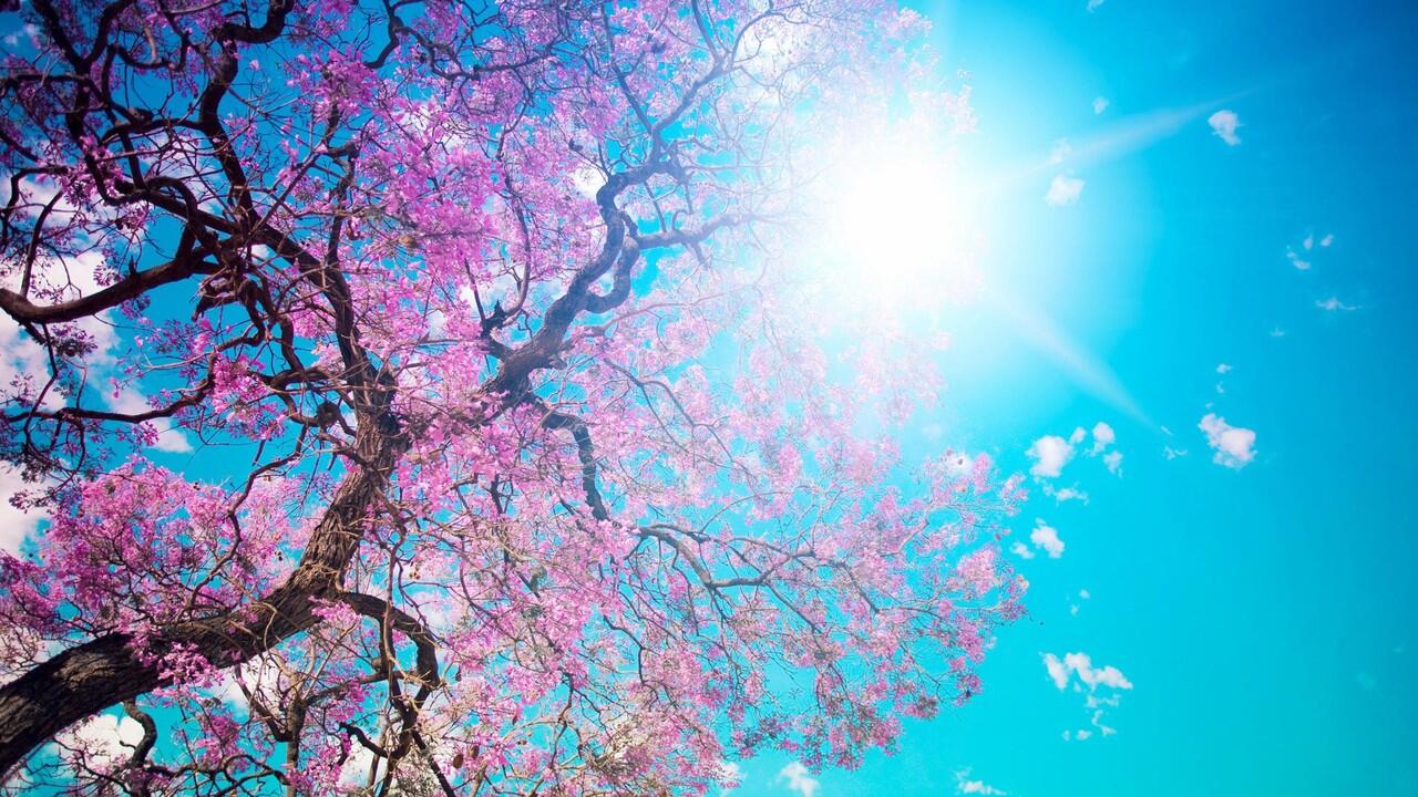 Free HD Wallpaper For Windows 7