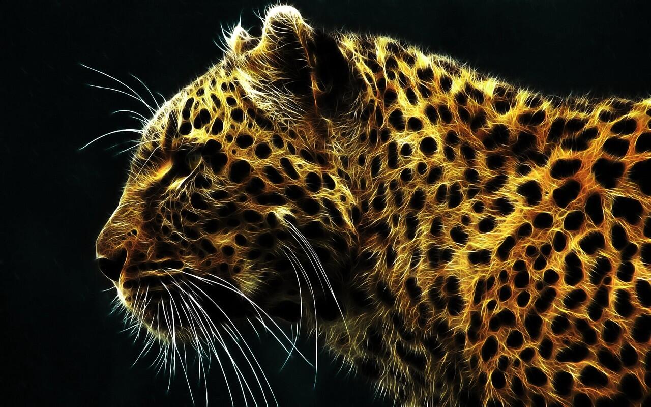Free HD Wallpaper For Windows 7