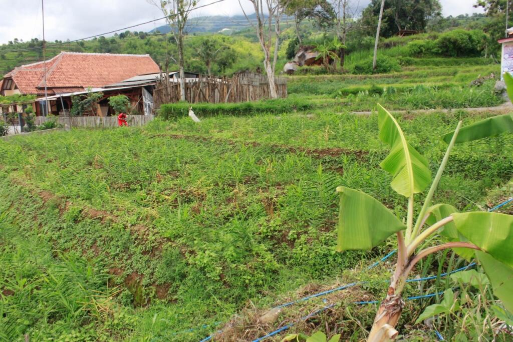 Dijual Tanah Dekat dengan Lokasi Wisata dan Taman Nasional