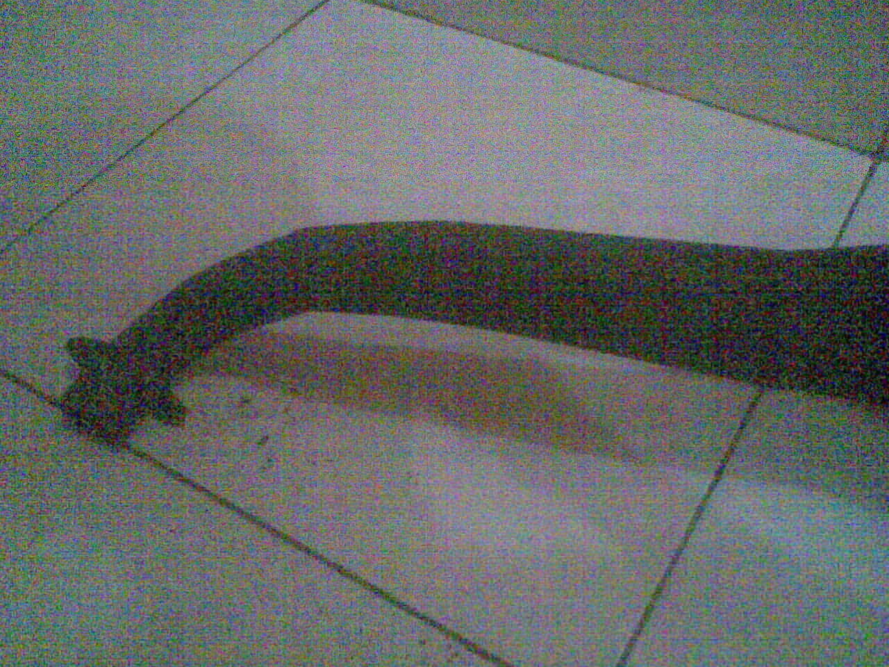 knalpot raccing fiz r (yamaha)
