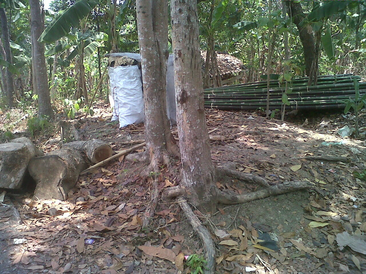 JUAL TANAH DI UNNES SEKARAN