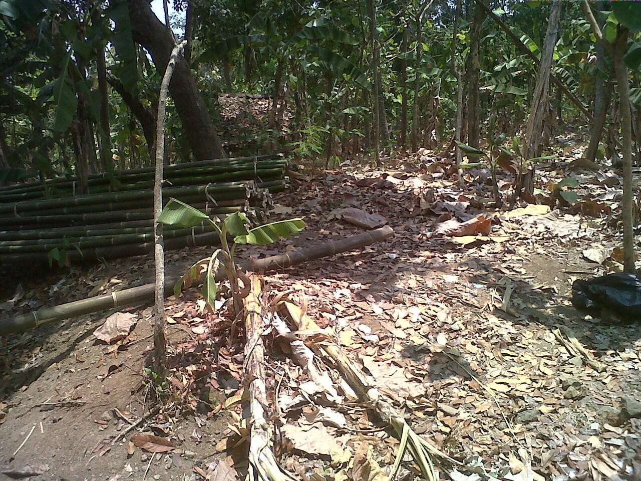 JUAL TANAH DI UNNES SEKARAN