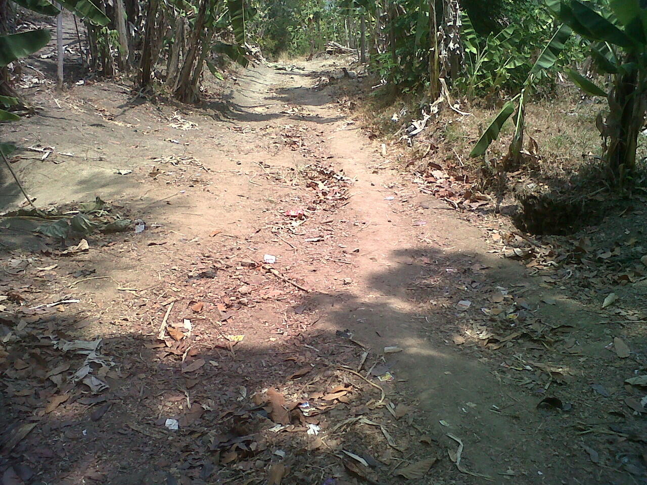 JUAL TANAH DI UNNES SEKARAN