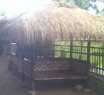 jual agen grosir bambu termurah sejakarta