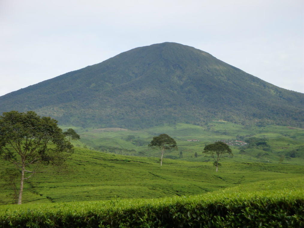 Ane perkenalkan gan Objek wisata kampung halaman ane (Pagar Alam) :matabelo
