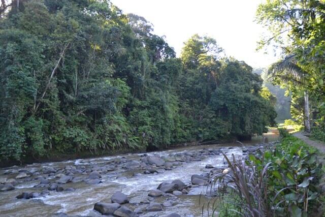 &#91;Back to Nature&#93; Menyingkap Kearifan Lokal Kampung Naga