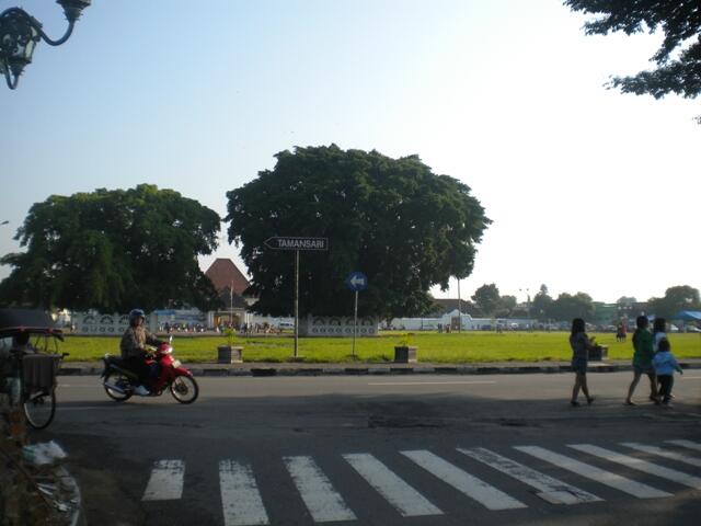 WISATA BUDAYA ALUN-ALUN KIDUL YOGYAKARTA